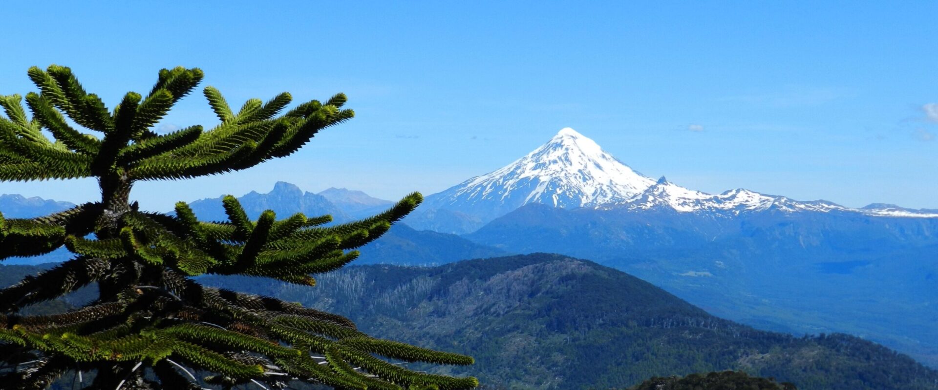 hill trip advisor banner