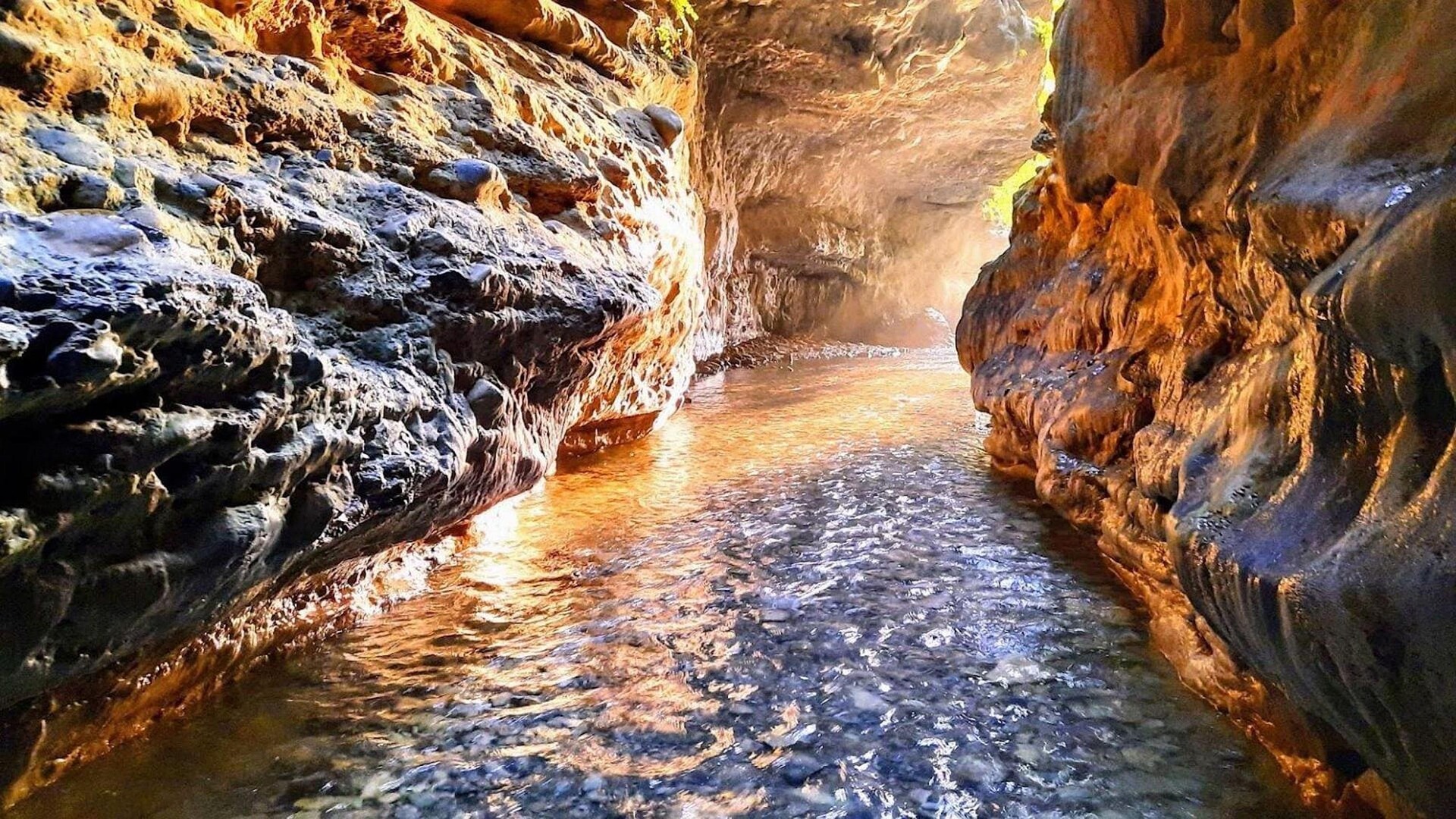 Robbers cave, dehradun