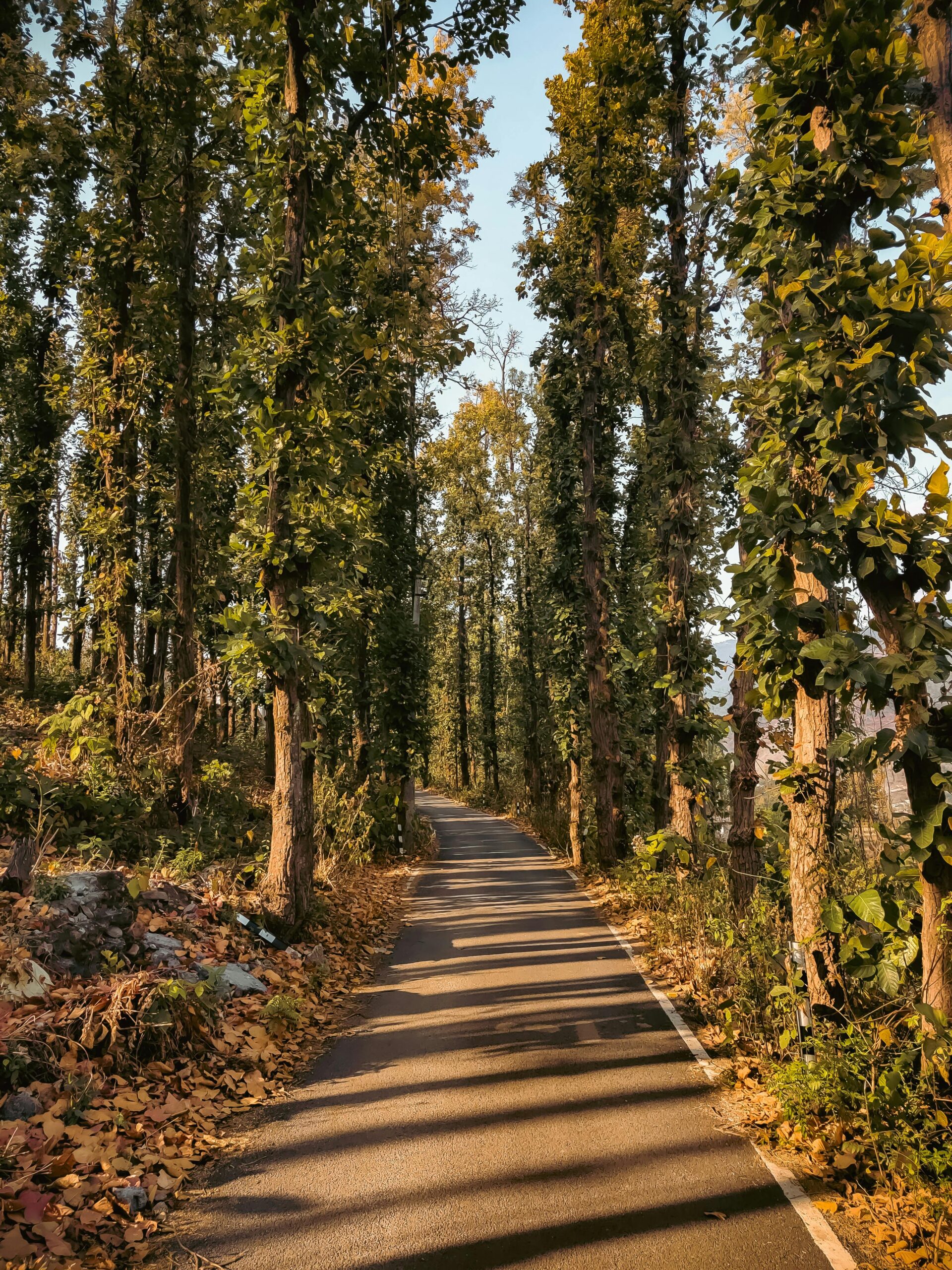 Raipur, Dehradun