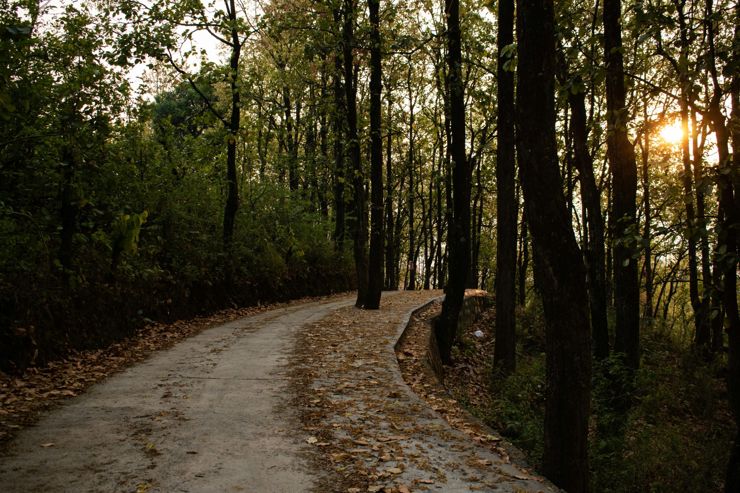 Dehradun 2