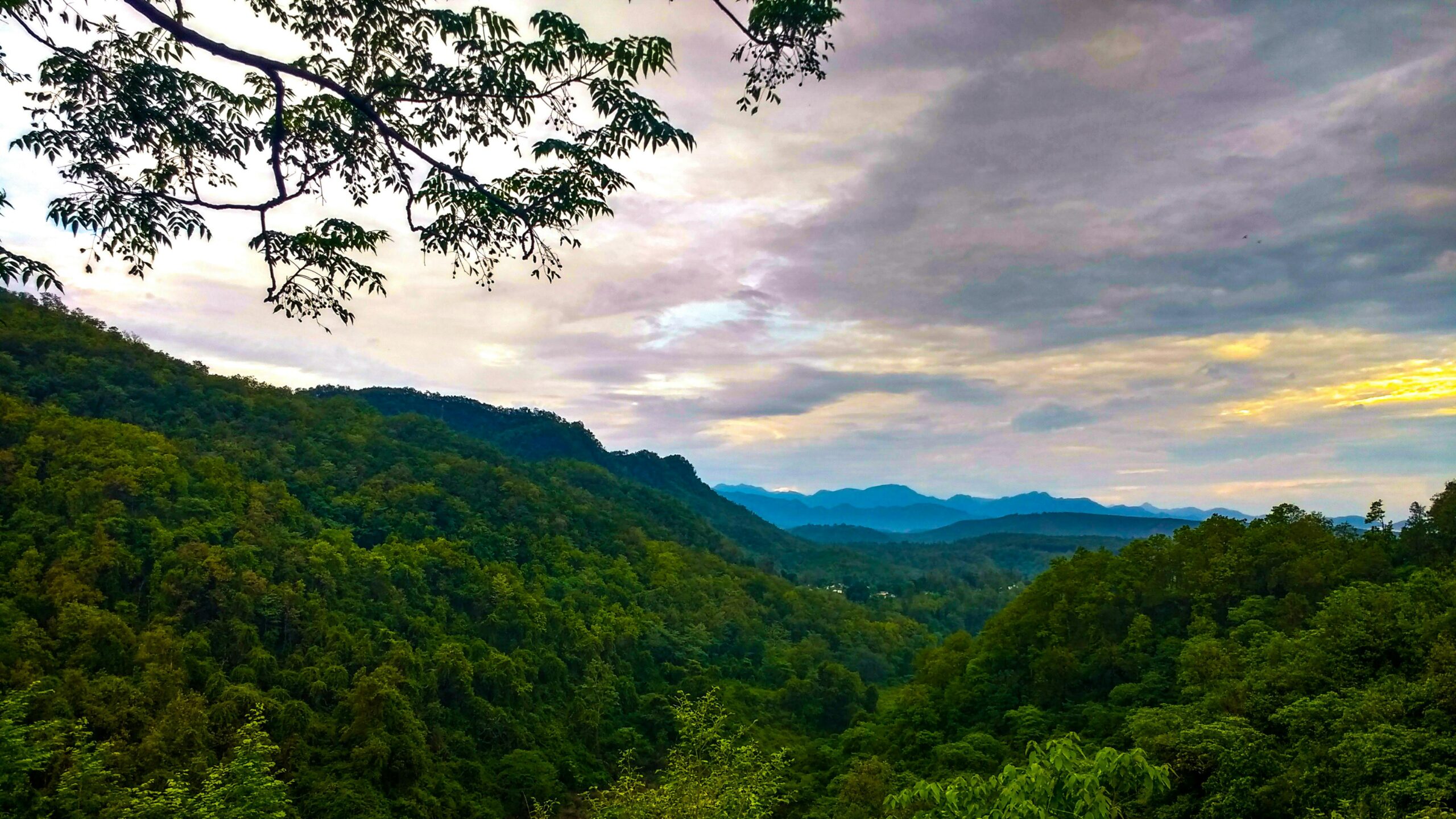 Dehradun 1