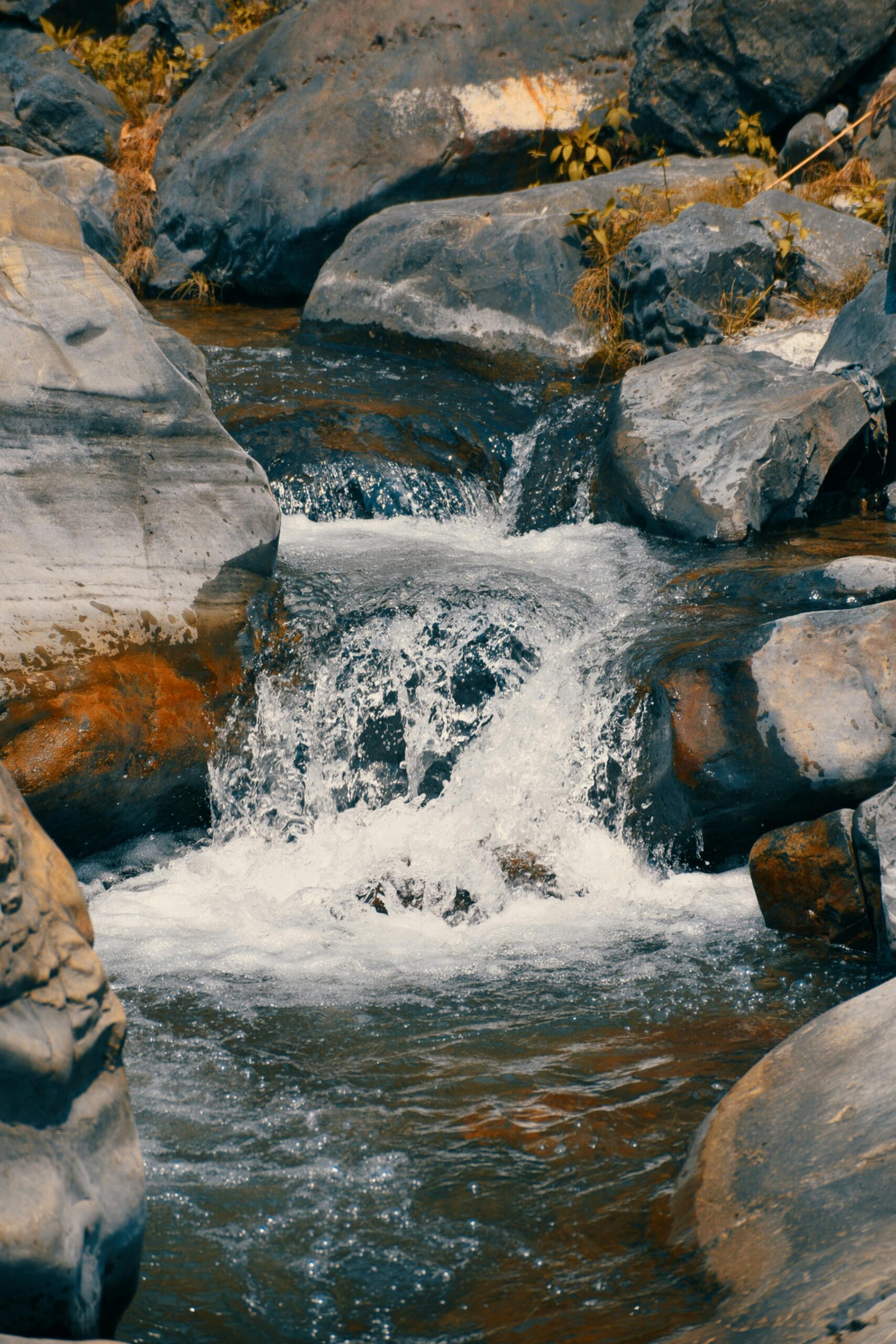 Sahastradhara, dehradun
